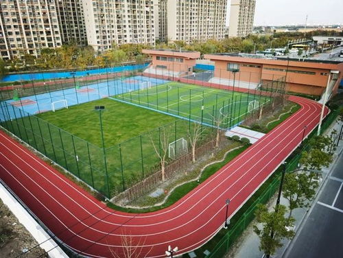 匯聚體育力量，共筑健康青浦——青浦區(qū)全民健身體育組織年度工作盤點(diǎn)